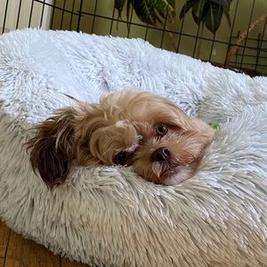 Meet your Posher, Daria